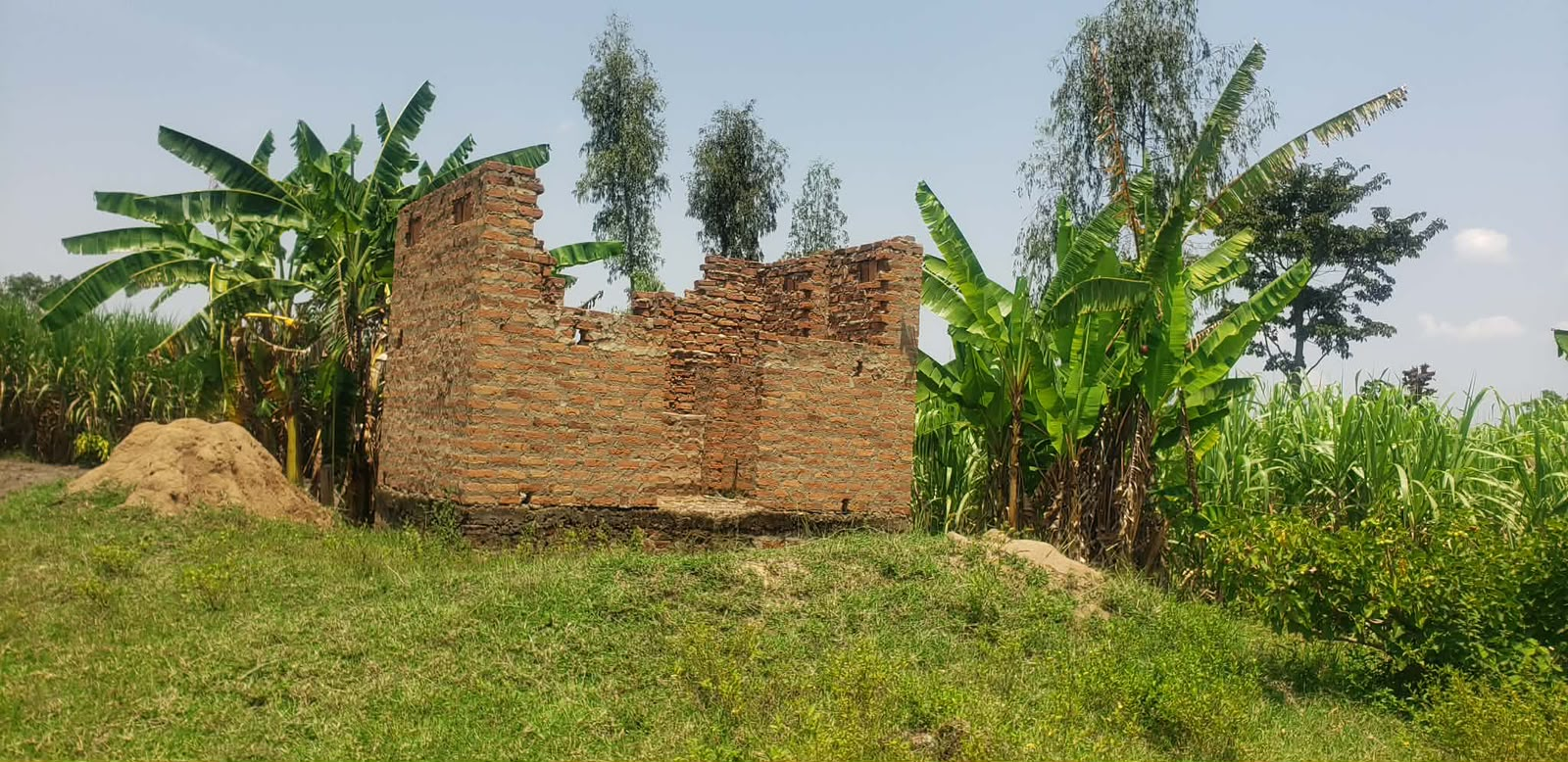 Our land for the orphanage in Uganda, Africa